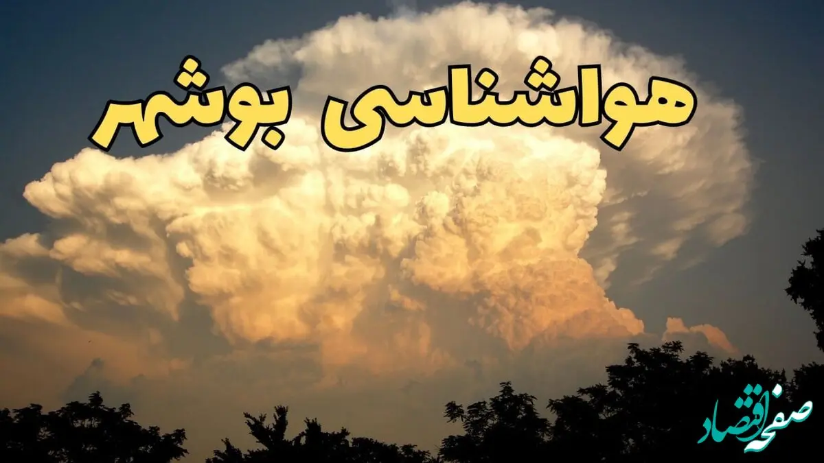 پیش‌ بینی هواشناسی بوشهر فردا | پیش بینی وضعیت آب و هوا بوشهر فردا جمعه ۱۷ اسفند ۱۴۰۳ | هوای بوشهر چگونه خواهد شد؟ 