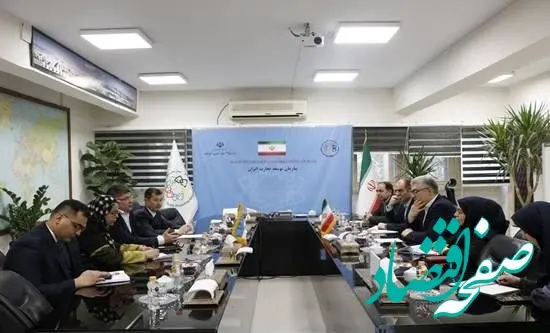 دیدار معاون وزیر صمت ایران با معاون وزیر صنعت و تجارت تاتارستان و سفیر ازبکستان/ تاکید بر تقویت روابط تجاری