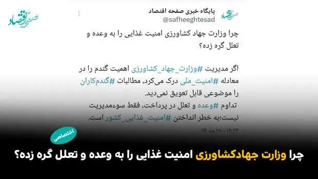 چرا وزارت جهاد کشاورزی امنیت غذایی را به وعده و تعلل گره زده؟