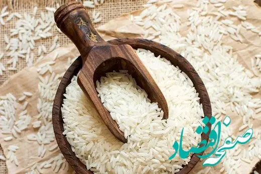 قیمت برنج ایرانی در بازار نصف شد! 