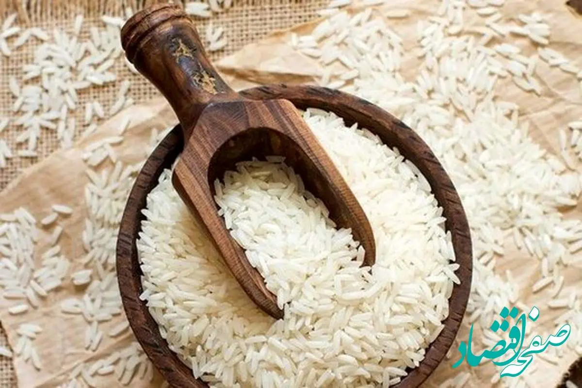 قیمت برنج ایرانی در بازار نصف شد! 