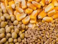 آخرین وضعیت ذخایر کالاهای اساسی کشور