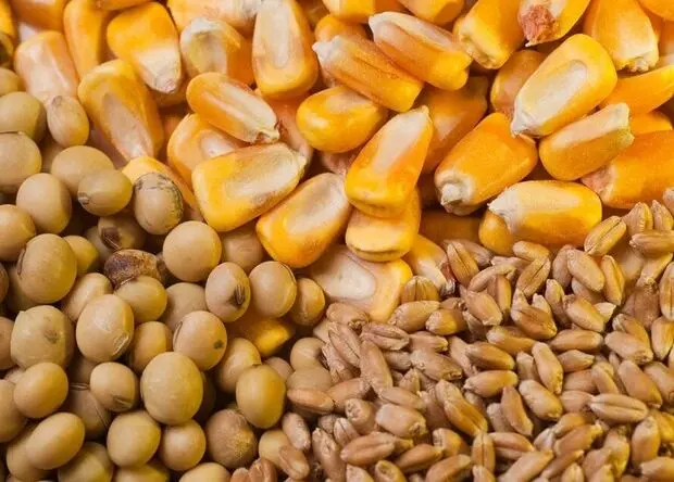آخرین وضعیت ذخایر کالاهای اساسی کشور