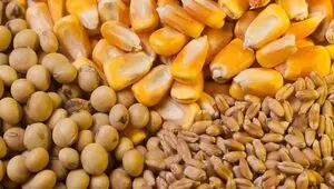 آخرین وضعیت ذخایر کالاهای اساسی کشور