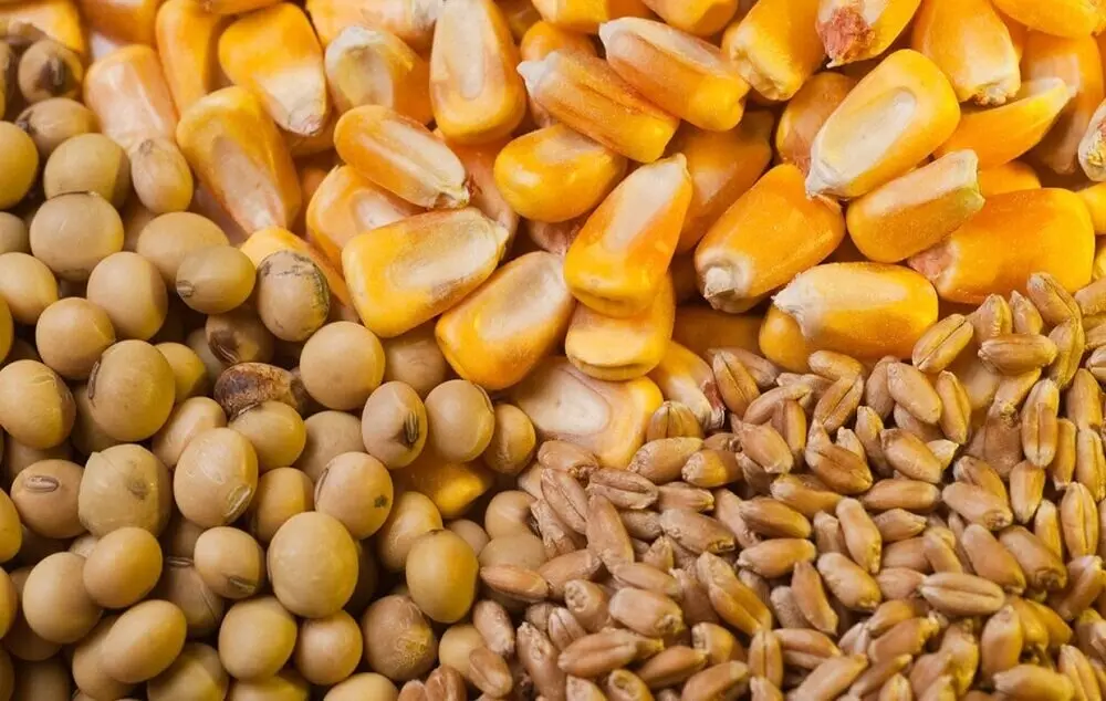 آخرین وضعیت ذخایر کالاهای اساسی کشور