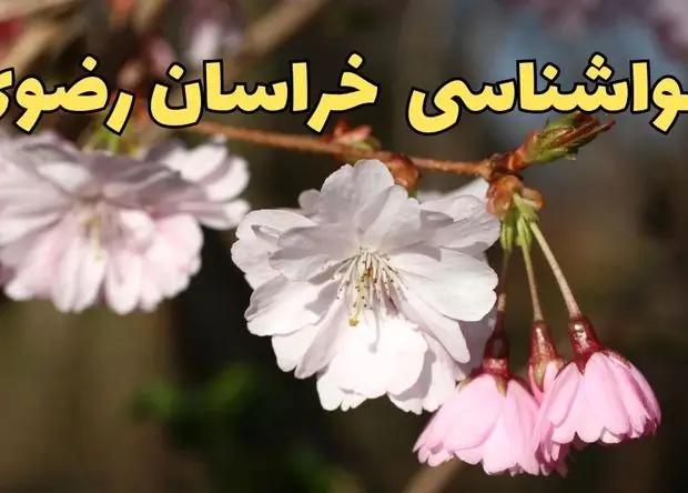 پیش بینی وضعیت آب و هوا خراسان رضوی فردا یکشنبه ۲۳ آذر ۱۴۰۴ + هواشناسی مشهد