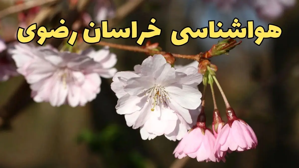پیش بینی هواشناسی مشهد ۲۴ ساعت آینده | وضعیت آب و هوا خراسان رضوی فردا سه شنبه ۱۲ فروردین ماه ۱۴۰۴ | آب و هوای مشهد در روز ۱۳ بدر + هواشناسی خراسان رضوی