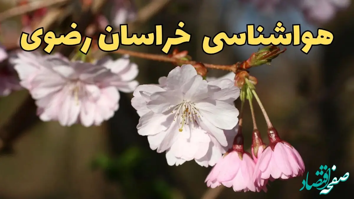 پیش بینی هواشناسی خراسان رضوی ۲۴ ساعت آینده | وضعیت آب و هوا خراسان رضوی فردا شنبه ۳۰ فروردین ماه ۱۴۰۴ | آب و هوای مشهد + هواشناسی  مشهد