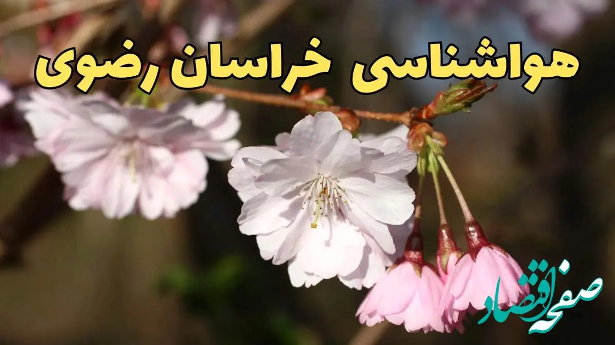 پیش بینی هواشناسی مشهد ۲۴ ساعت آینده | وضعیت آب و هوا خراسان رضوی فردا سه شنبه ۱۲ فروردین ماه ۱۴۰۴ | آب و هوای مشهد در روز ۱۳ بدر + هواشناسی خراسان رضوی
