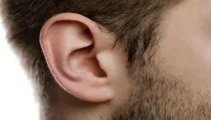 اعلام دیه گوش در سال ۱۴۰۴ | دیه قطع لاله گوش چقدر شد؟