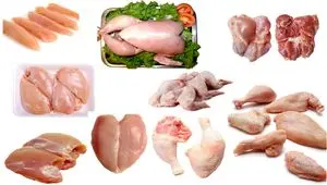 قیمت مرغ و تخم‌مرغ در دوم اسفند ۱۴۰۴؛ افزایش محسوس برخی قطعات مرغ و ثبات نسبی تخم‌مرغ + جدول