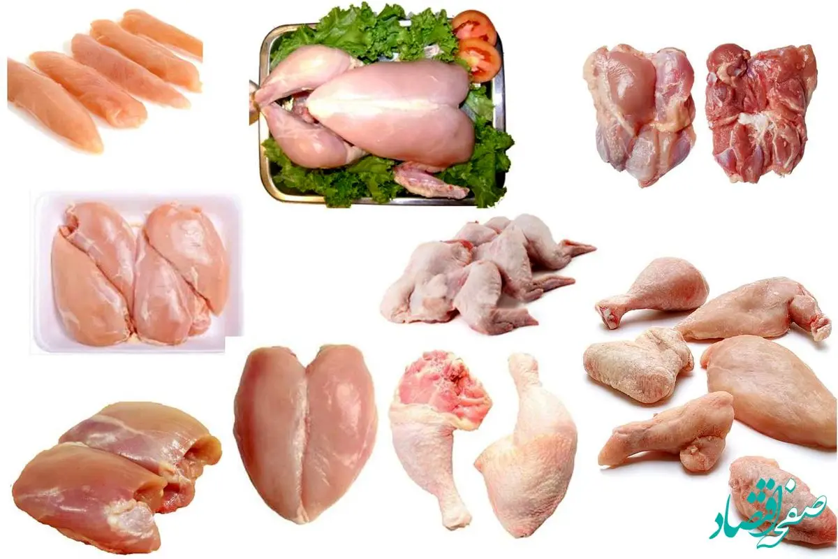 قیمت مرغ و تخم‌مرغ در دوم اسفند ۱۴۰۴؛ افزایش محسوس برخی قطعات مرغ و ثبات نسبی تخم‌مرغ + جدول