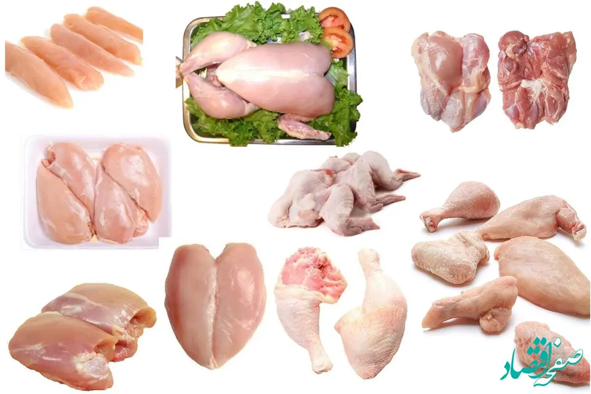قیمت مرغ و تخم‌مرغ در دوم اسفند ۱۴۰۴؛ افزایش محسوس برخی قطعات مرغ و ثبات نسبی تخم‌مرغ + جدول