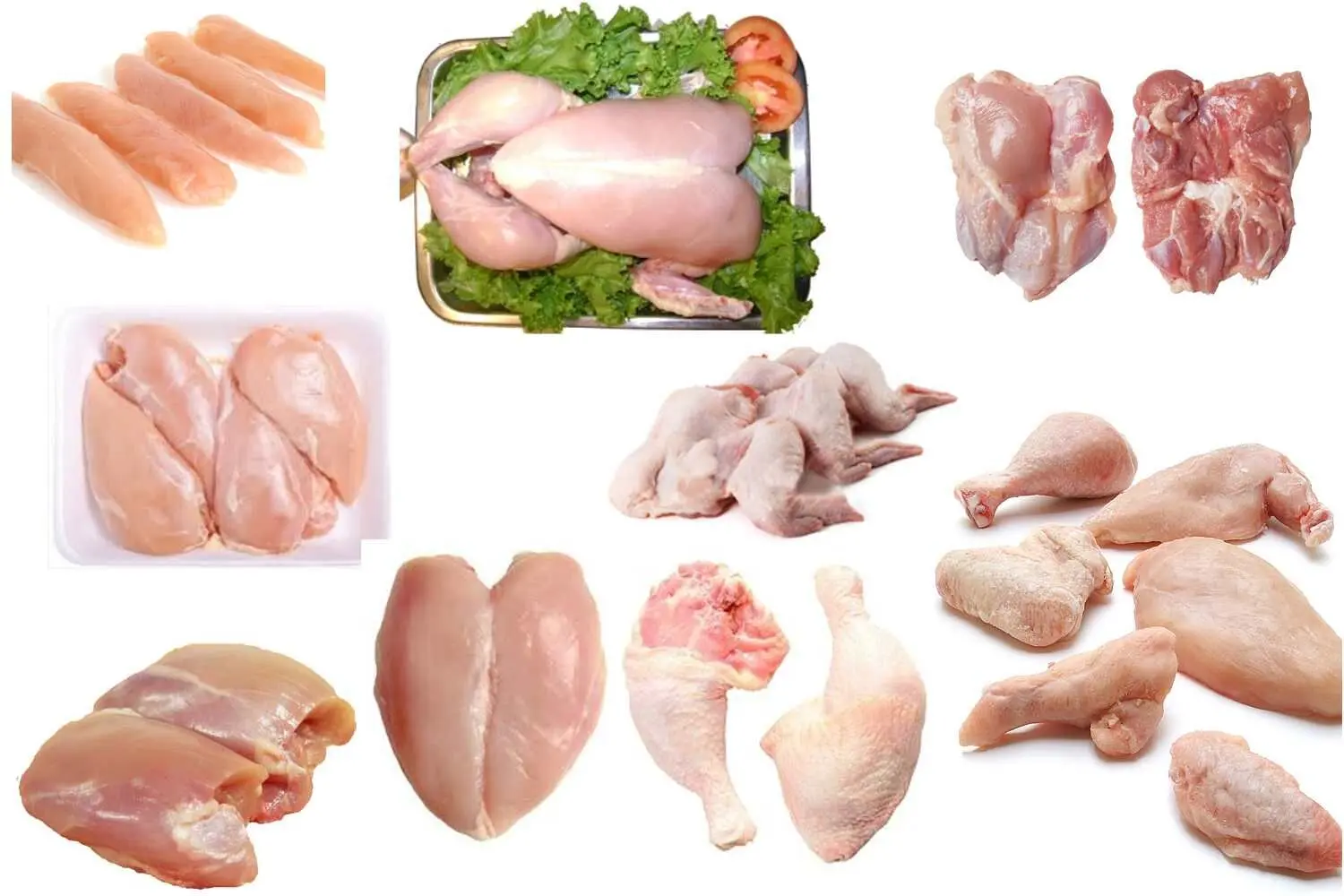 قیمت مرغ و تخم‌مرغ در دوم اسفند ۱۴۰۴؛ افزایش محسوس برخی قطعات مرغ و ثبات نسبی تخم‌مرغ + جدول