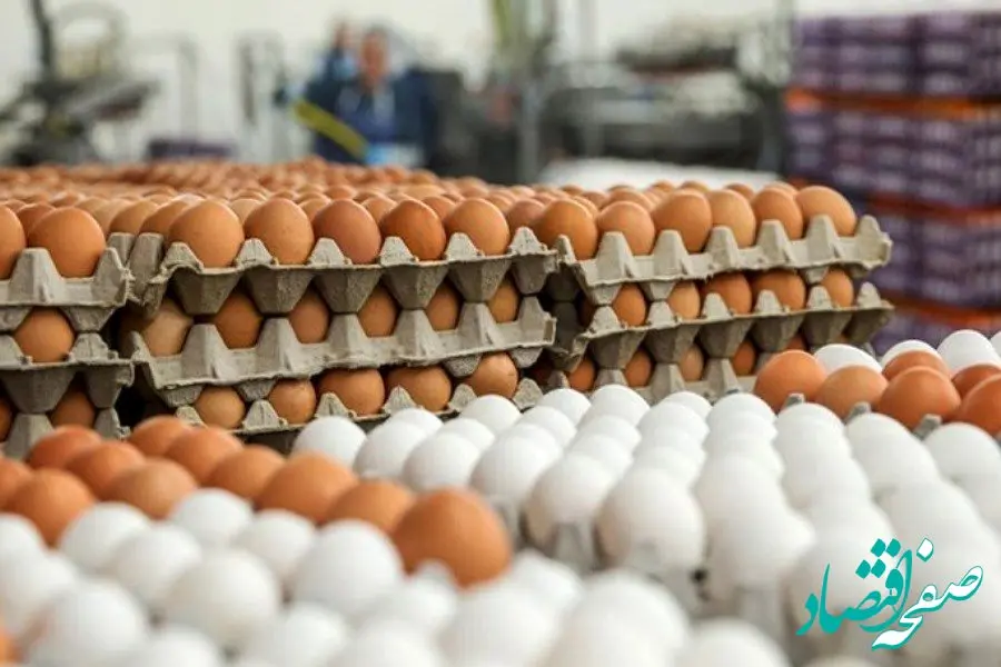 صادرات تخم مرغ بی کیفیت به عراق و افغانستان