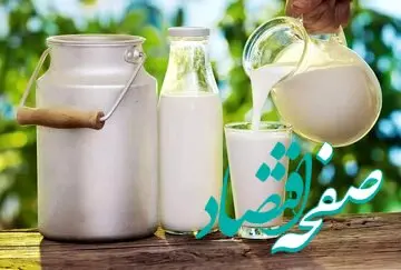 عکس | شیر و ماست پاستوریزه در تهران نایاب شد