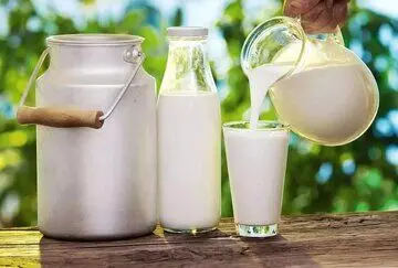 عکس | شیر و ماست پاستوریزه در تهران نایاب شد