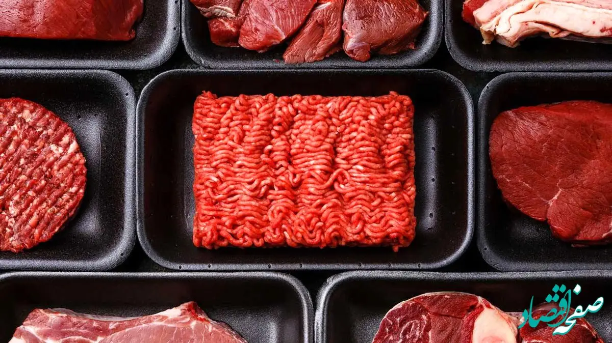 سقوط قیمت گوشت قرمز همزمان با آمدن پاییز