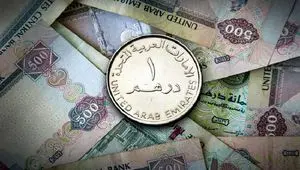 درهم تا این درصد سقوط کرد! / قیمت درهم امارات امروز سه شنبه ۱۲ تیر ماه ۱۴۰۳