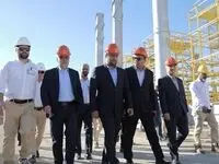 تأکید مدیرعامل هلدینگ انرژی سپهر بر تسریع در رفع موانع اجرایی پروژه پتروشیمی سیراف انرژی