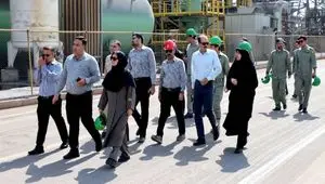سه ماه تلاش بی‌وقفه؛ نجات گور ایرانی در دل خشکسالی