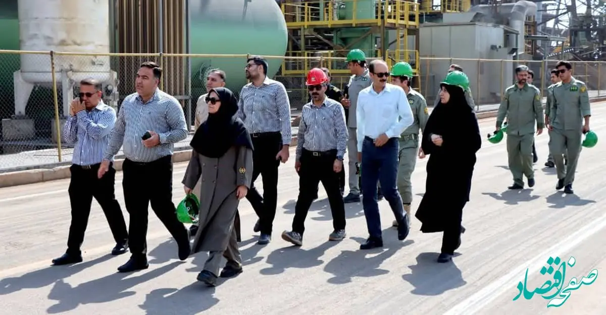 سه ماه تلاش بی‌وقفه؛ نجات گور ایرانی در دل خشکسالی