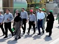 سه ماه تلاش بی‌وقفه؛ نجات گور ایرانی در دل خشکسالی