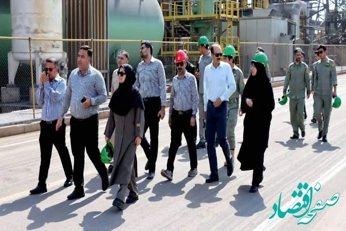 سه ماه تلاش بی‌وقفه؛ نجات گور ایرانی در دل خشکسالی