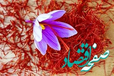 روز زعفرانی بورس کالا