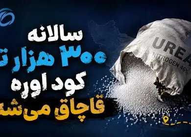 سالانه ۳۰۰ هزار تن کود اوره قاچاق می‌شود!