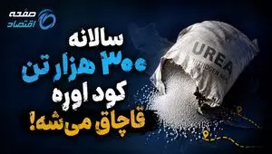 سالانه ۳۰۰ هزار تن کود اوره قاچاق می‌شود!
