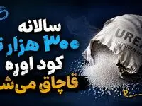 سالانه ۳۰۰ هزار تن کود اوره قاچاق می‌شود!