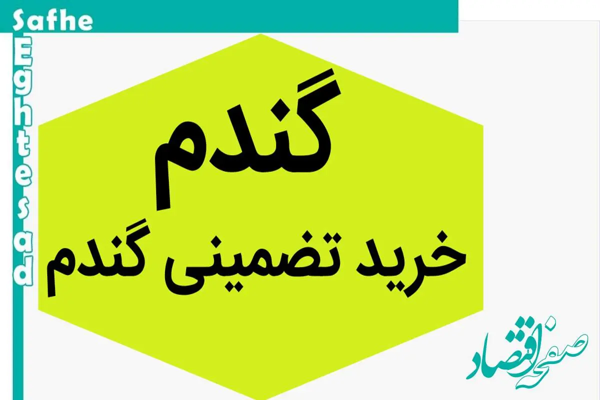 آخرین خبر از خرید تضمینی گندم و پرداخت مطالبات گندمکاران امروز شنبه ۱۷ شهریور ۱۴۰۳ | چه خبر از مطالبات گندمکاران؟ 