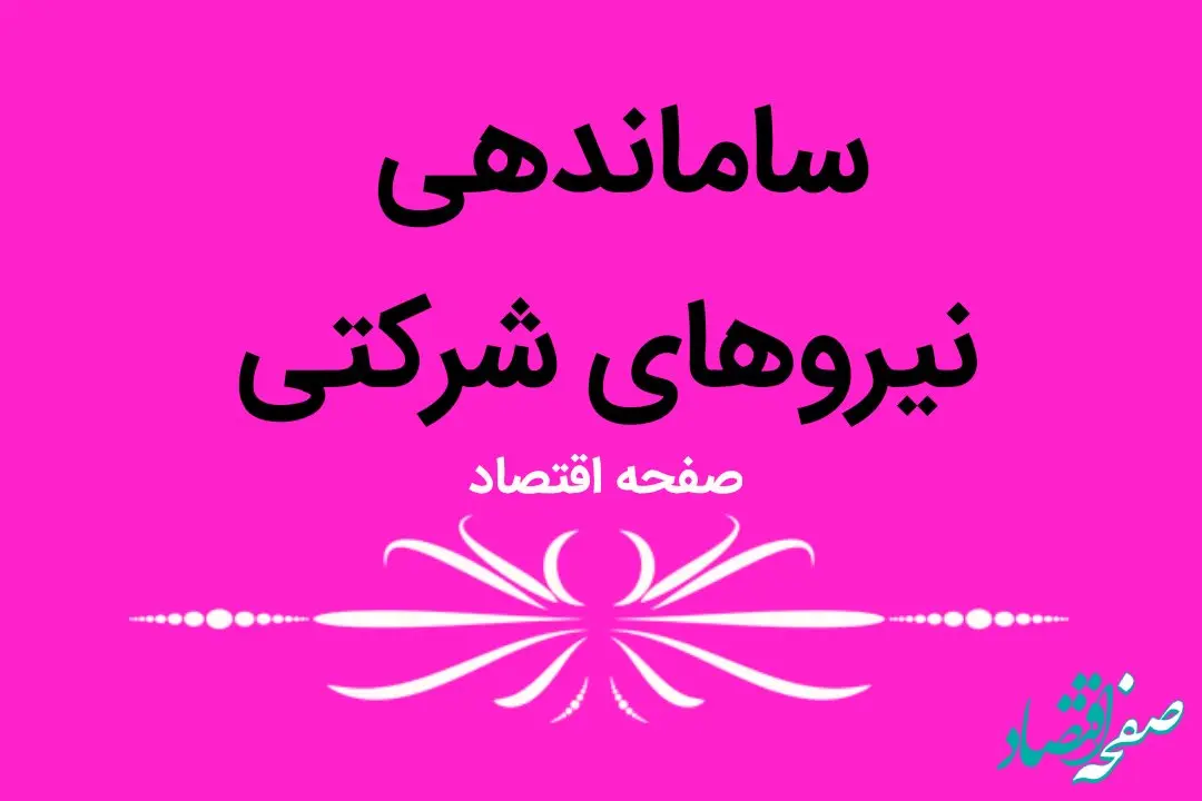 آخرین خبر از ساماندهی استخدام نیروهای شرکتی امروز ۱۹ بهمن ماه ۱۴۰۳ | خبرهای خوبی از ساماندهی کارکنان دولت در راه است؟ 