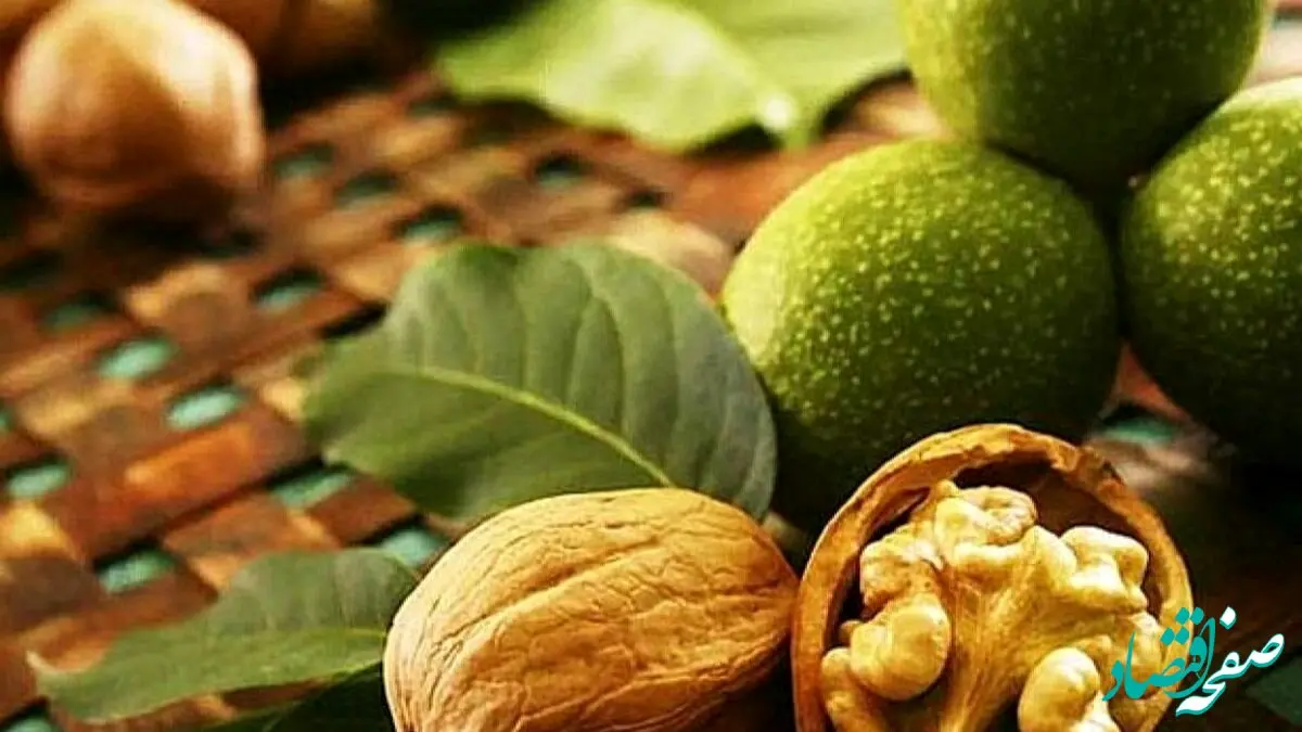 شوک بزرگ همدان: مرگ ناگهانی ۴۲ نفر در یک روز!