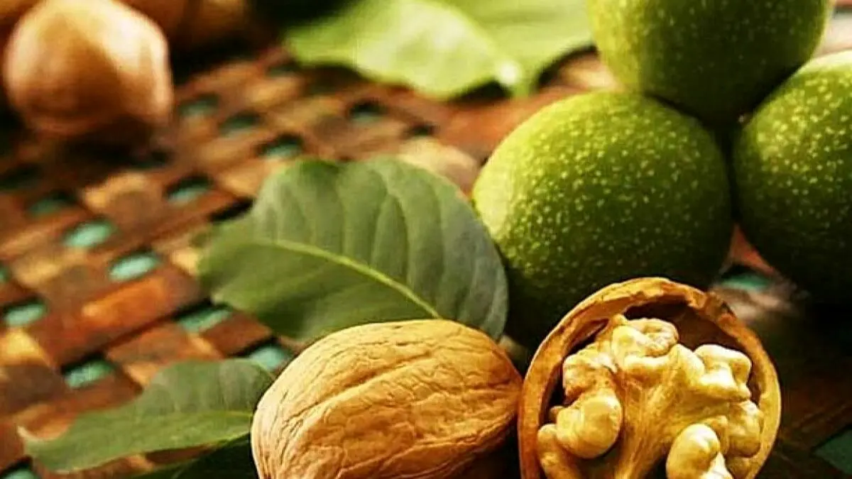 شوک بزرگ همدان: مرگ ناگهانی ۴۲ نفر در یک روز!