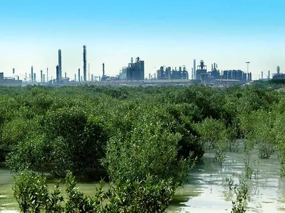 پتروشیمی بندر امام؛ پیش‌گام در توسعه پایدار و کاهش آلایندگی محیط زیستی/ از بهبود چشمگیر شاخص کیفیت پساب‌های خروجی تا کمک به کاهش مصرف آب شیرین از رودخانه کارون