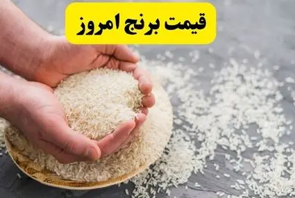 قیمت برنج پاکستانی امروز شنبه ۲ آبان چند شد؟