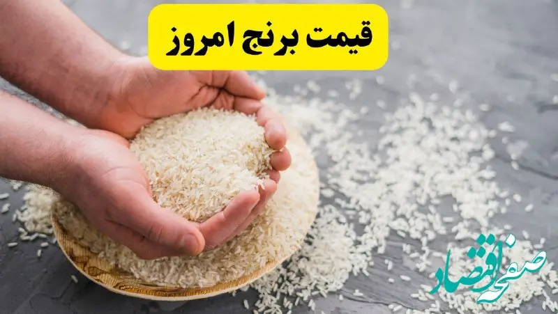 قیمت جدید برنج پاکستانی چند؟ | اعلام قیمت جدید برنج پاکستانی در بازار