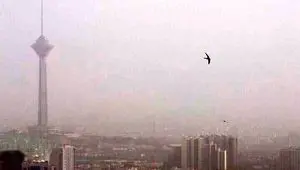 آخرین خبر از شاخص آلودگی هوای تهران امروز جمعه ۳ مرداد ۱۴۰۴ اعلام شد