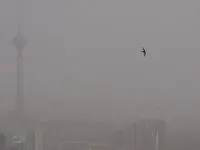 آخرین خبر از شاخص آلودگی هوای تهران امروز جمعه ۳ مرداد ۱۴۰۴ اعلام شد