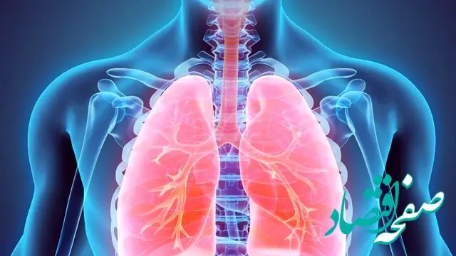 این چند توصیه برای تنفس بهتر را بشناسید