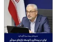 توازن در بیمه‌گری با توسعه بازارهای سودآور