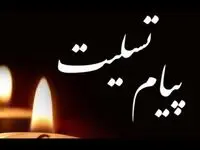 پیام تسلیت مدیرعامل شرکت ملی صنایع مس ایران در پی حادثه تروریستی گلزار شهدای کرمان