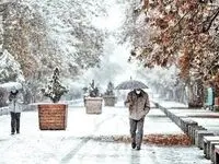 هواشناسی / بارش برف و باران در این استان‌ها / سردترین نقطه ایران اینجاست