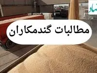 آخرین خبر از پرداخت مطالبات گندمکاران امروز چهارشنبه ۱ مرداد ماه ۱۴۰۴ | از خرید تضمینی گندم چه خبر؟ 