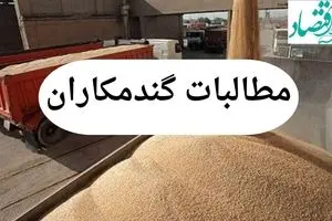 آخرین خبر از پرداخت مطالبات گندمکاران امروز چهارشنبه ۱ مرداد ماه ۱۴۰۴ | از خرید تضمینی گندم چه خبر؟ 