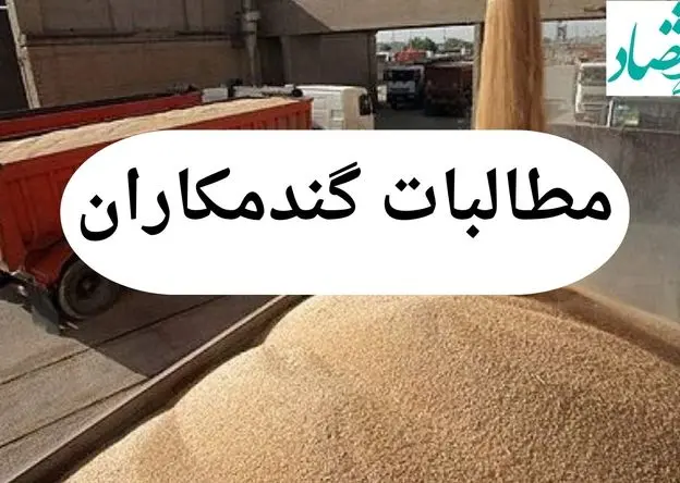 آخرین خبر از پرداخت مطالبات گندمکاران امروز چهارشنبه ۱ مرداد ماه ۱۴۰۴ | از خرید تضمینی گندم چه خبر؟ 