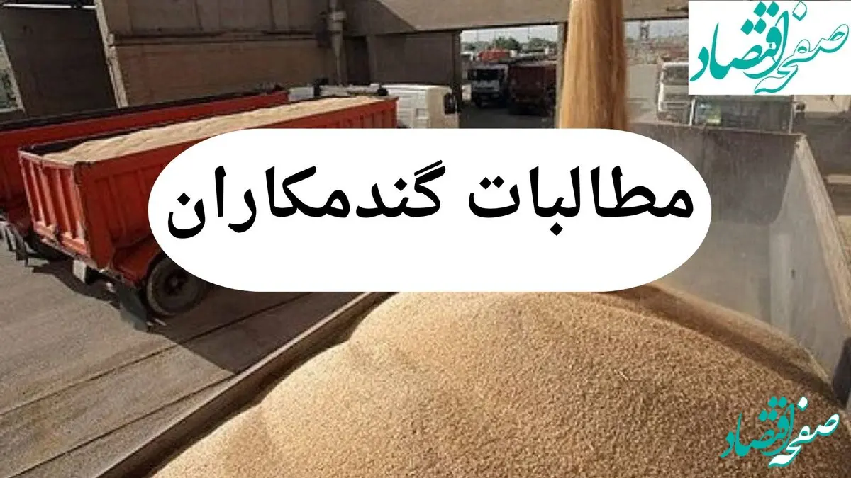 مطالبات گندمکاران هفته آینده پرداخت می شود / کام گندمکاران شیرین شد