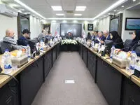 آقاجانلو: مدل اجرایی جدید برای تامین مالی طرح های مس طراحی شود